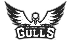 Sylvan-Lake-Gulls